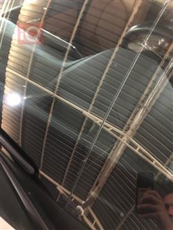 تويوتا أفالون